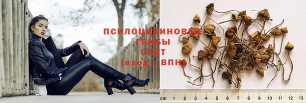 тгк Абдулино