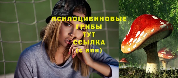 тгк Абдулино